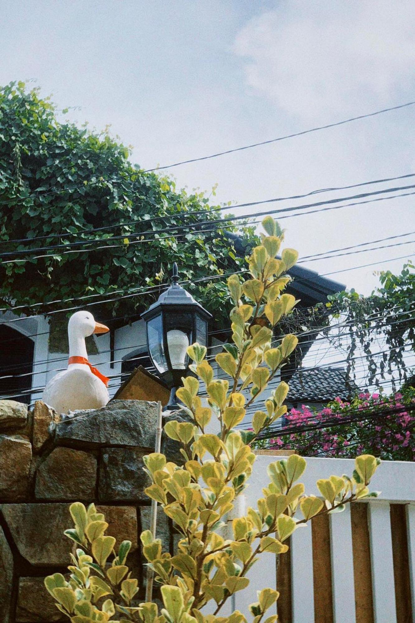 Chai Nho Homestay Da Lat Exterior foto